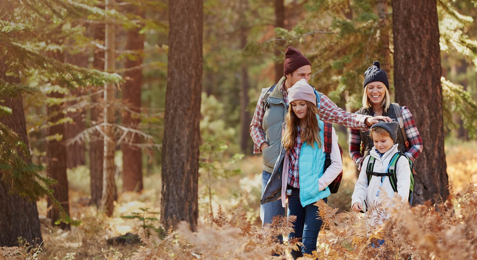 Insurance UX Website Design Case Study