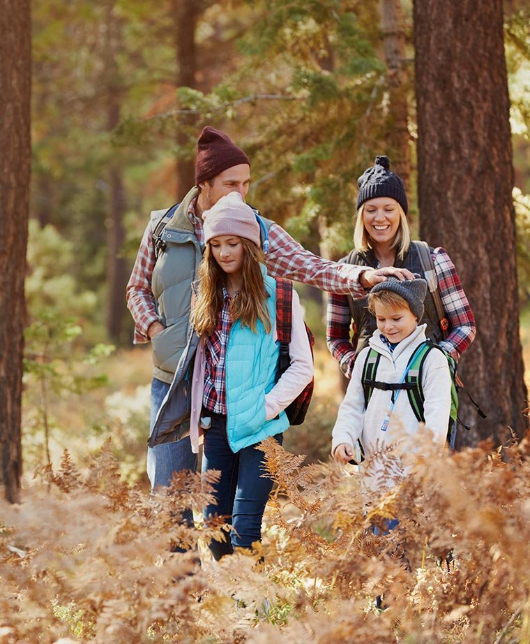 Insurance UX Website Design Case Study